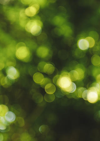 green cover